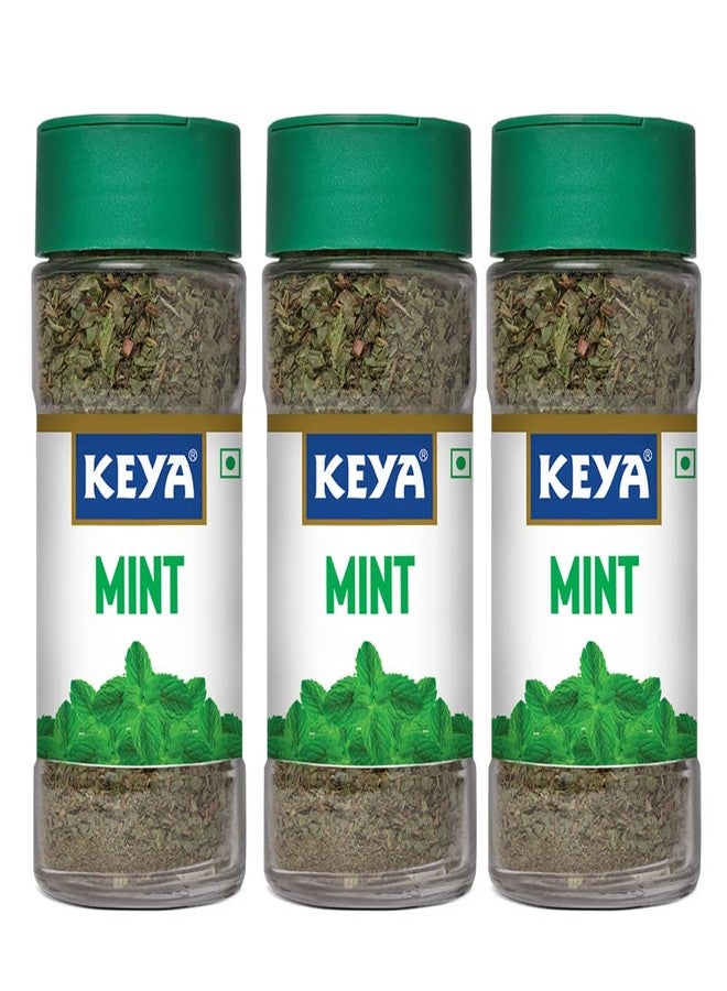 Keya Mint | Seasoning for Meats, Soups, Sauces, Vegetables, and Beverages | Rich in Antioxidants & Supports Digestion | No Artificial Flavours or Colours | 7g | Pack 3 - Image 1