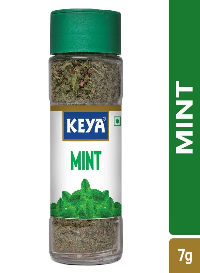 Keya Mint | Seasoning for Meats, Soups, Sauces, Vegetables, and Beverages | Rich in Antioxidants & Supports Digestion | No Artificial Flavours or Colours | 7g | Pack 3 - Image 4