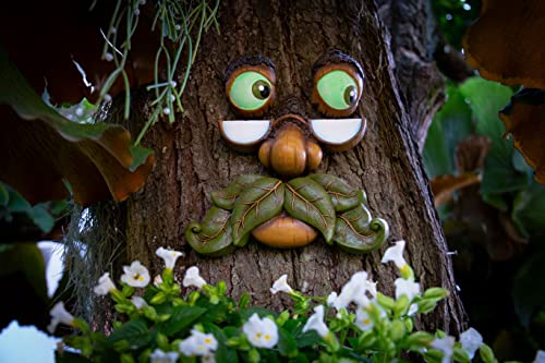 Tree Poetry Tree Faces Decor - Outdoor Yard Art Garden Decoration - Unique Peeker for Outdoors and Indoors - Old Man Tree Hugger Art - Image 5