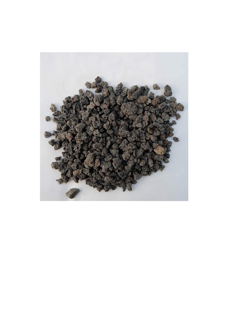 مضافات تربة الصخور البستانية السوداء للنباتات العصارية الصبار لا أصباغ أو مواد كيميائية 100٪ صخور بركانية نقية 2.2 رطل - Image 2