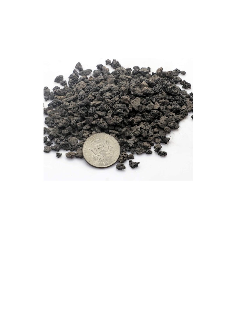 مضافات تربة الصخور البستانية السوداء للنباتات العصارية الصبار لا أصباغ أو مواد كيميائية 100٪ صخور بركانية نقية 2.2 رطل - Image 3
