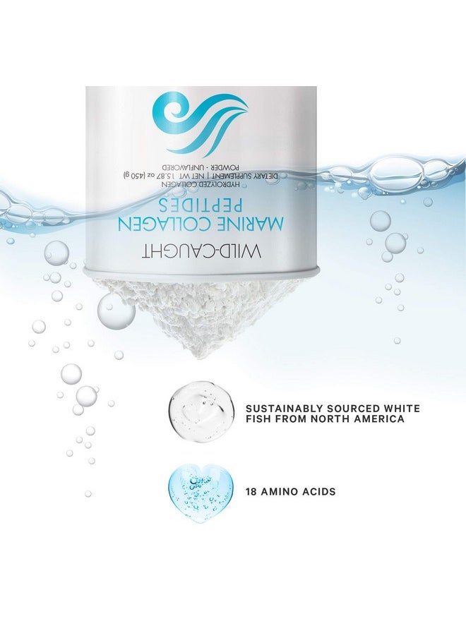 Codeage Marine Collagen Powder Wildcaught Hydrolyzed Fish Collagen Peptides Type 1 & 3 Collagen Protein Supplement Amino Acids For Skin Hair Nails Paleo Friendly Nongmo 15.87 Ounces  - Image 5