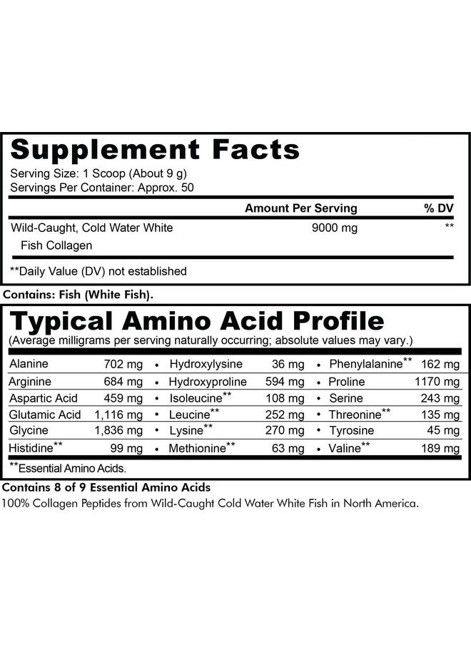 Codeage Marine Collagen Powder Wildcaught Hydrolyzed Fish Collagen Peptides Type 1 & 3 Collagen Protein Supplement Amino Acids For Skin Hair Nails Paleo Friendly Nongmo 15.87 Ounces  - Image 3