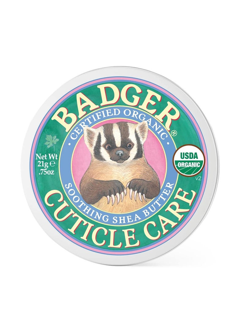 بادجير زبدة شيا عضوية للعناية بالبشرة وتلطيفها 21جم - Image 1