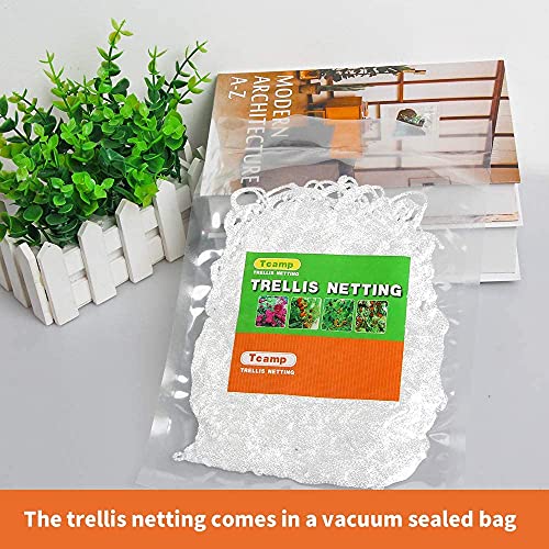 Tcamp Heavy-Duty Polyester Plant Trellis Netting 5 x 30ft (1 Pack) (5 Ft X 30 Ft) - Image 5