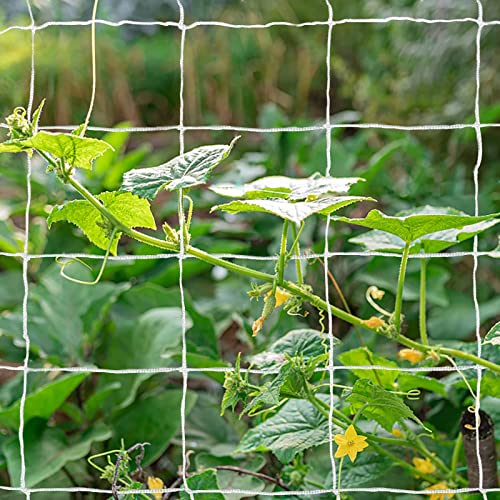 Tcamp Heavy-Duty Polyester Plant Trellis Netting 5 x 30ft (1 Pack) (5 Ft X 30 Ft) - Image 2