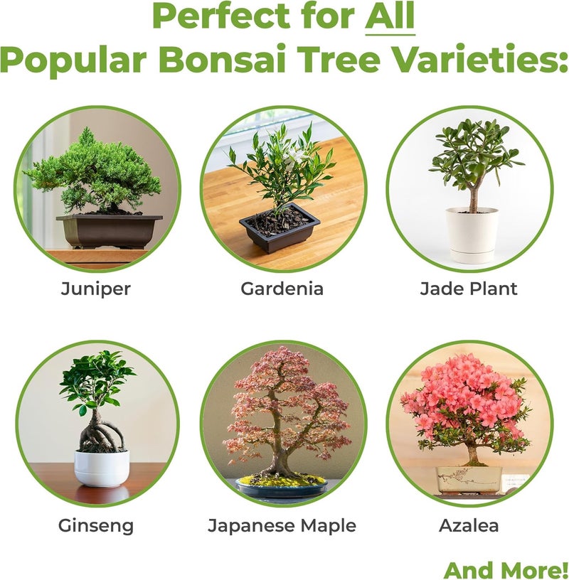 PERFECT PLANTS Bonsai Soil by - 8qts. Premium All-Purpose Mix | Perfect for Several Bonsai Tree Plants | Made in Small Batches in The USA - Image 3