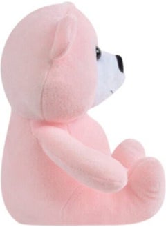 Toy Plush Teddy Bear 15 cm Pink - pzsku/ZB7D7BA23FF59DC4A6CF0Z/45/_/1725724921/14918f08-63bd-45d0-a10a-5aa95270117e