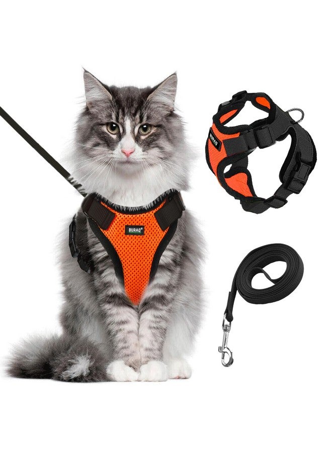 Buraq Cat Harness Wth Leash for Walking | Escape Proof | Air Mesh Fabric | Soft Vest Harness | Easy Control | Adjustable & Durable | for Medium & Large Cats (M, Orange) - Image 1