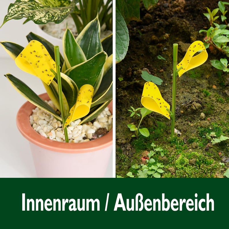 Garsum 84 Traps Sticky Houseplant Traps Gnat Yellow Insect Trap Indoor Fruit Fly Stakes Trap - Image 4