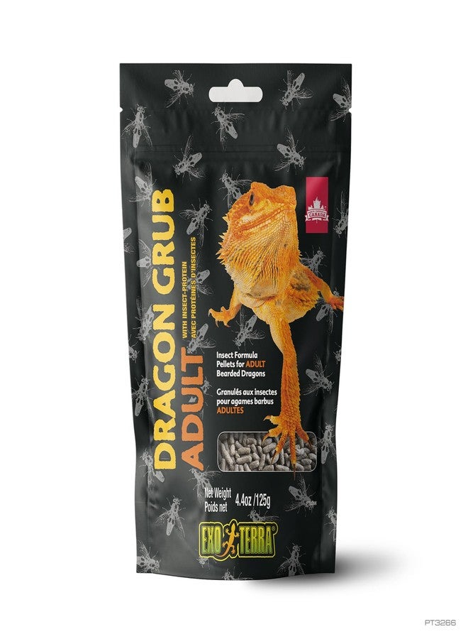 Exo Terra Dragon Grub Adult 4.4oz
