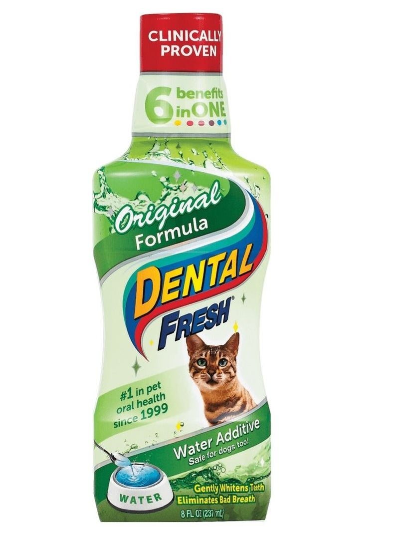 SynergyLabs Dental Fresh Original Formula For Cats 237ml - Image 1