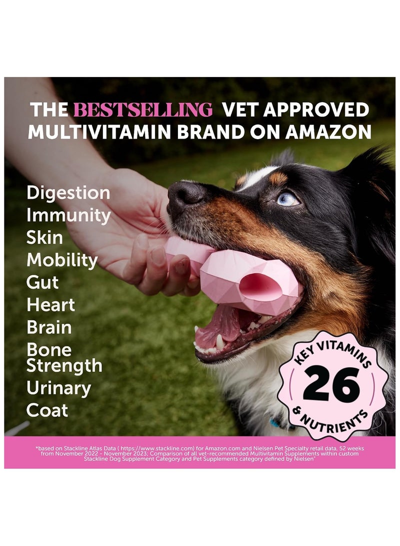 Pet Honesty 10-in-1 Dog Multivitamin Soft Chews with Glucosamine, Probiotics & Omega Fish Oil | Joint, Digestive, Skin & Coat, Heart and Immune Support | 90 Soft Chews - Image 2