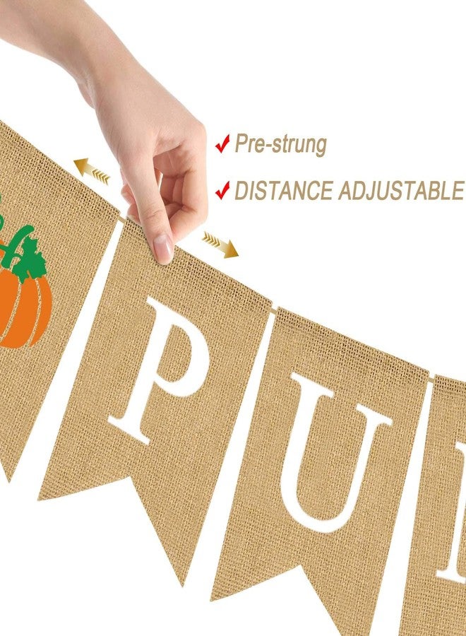 Rainlemon Jute Burlap Little Pumpkin Banner Fall Baby Shower Gender Reveal Birthday Party Garland Decoration - Image 5
