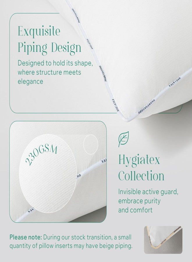 Phantoscope Hypoallergenic Throw Pillows Insert, 100% Virgin Fiber Throw Pillows - Indoor Pillow Inserts Decor Stuffer for Desk Sofa and Couch, Set of 2, 18 x 18 - Image 4