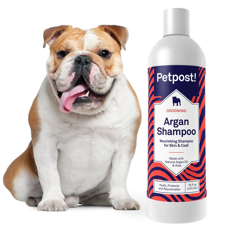 Petpost Argan Shampoo for Dogs Dog Shampoo with Argan Oil Aloe Moisturizes Dry Skin Softens Coat Restores Shine 16 oz
