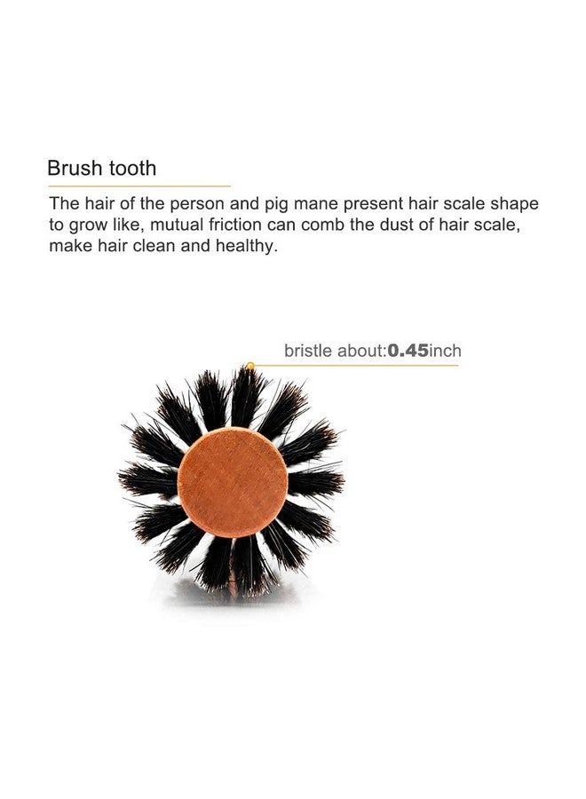 SUNBIRD Wild Boar Bristle Large Round Brush Hair Brush For Men Women Kid Dry Wet Fine Thick Curly Hair Styling Adding Hair Volume And Shine - Image 5