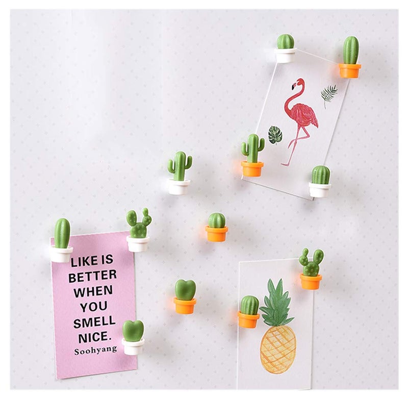 TabEnter Decorative Refrigerator Magnets, Perfect Fridge Magnets for House Office Personal Use (12Pcs Cactus) - Image 2