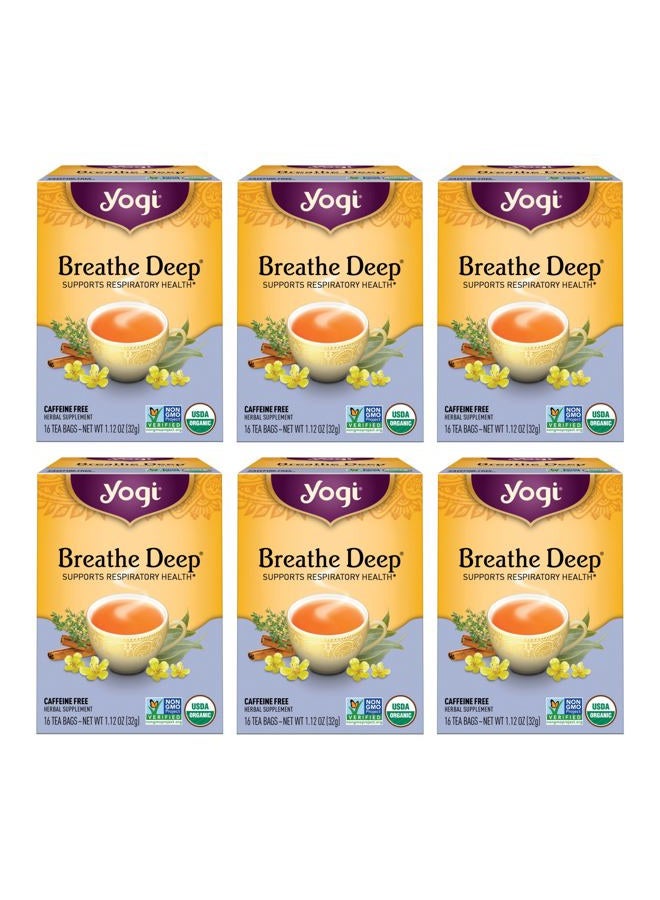 YOGI شاي تنفس عميق - 16 كيس شاي لكل عبوة (6 عبوات) - شاي تنفسي عضوي - يدعم صحة الجهاز التنفسي - يحتوي على جذر عرق السوس، ورقة الكينا، جذر الزنجبيل وقشرة القرفة - Image 1