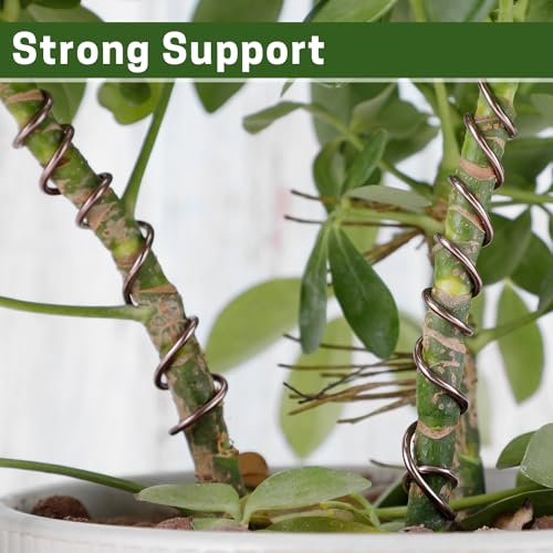 ZELARMAN Bonsai Training Wire Set of 4, Total 128 Feet (32 Feet Each Size) 3 Size - 1.0MM, 1.5MM, 2.0MM, Corrosion and Rust Resistant (with Bonsai Wire Cutter) - Image 4