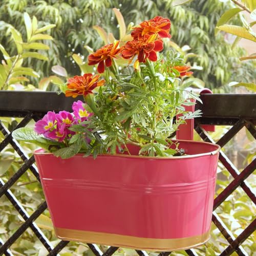 ecofynd 12 Inches Aurelia Railing Planters for Balcony, Hanging Pots for Plants, Wall Hanging Decorative Planters for Vertical Garden, Oval,12 inches Pack of 1 (Pink) - Image 1