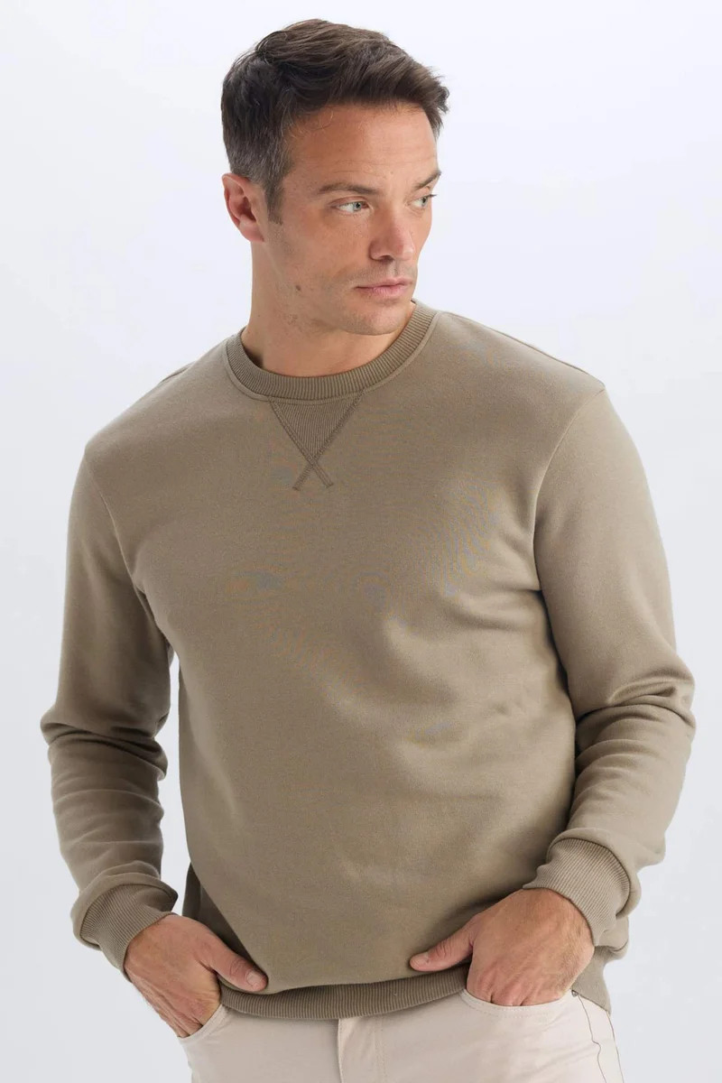 ديفاكتو Regular Fit Crew Neck Basic Thick Sweatshirt