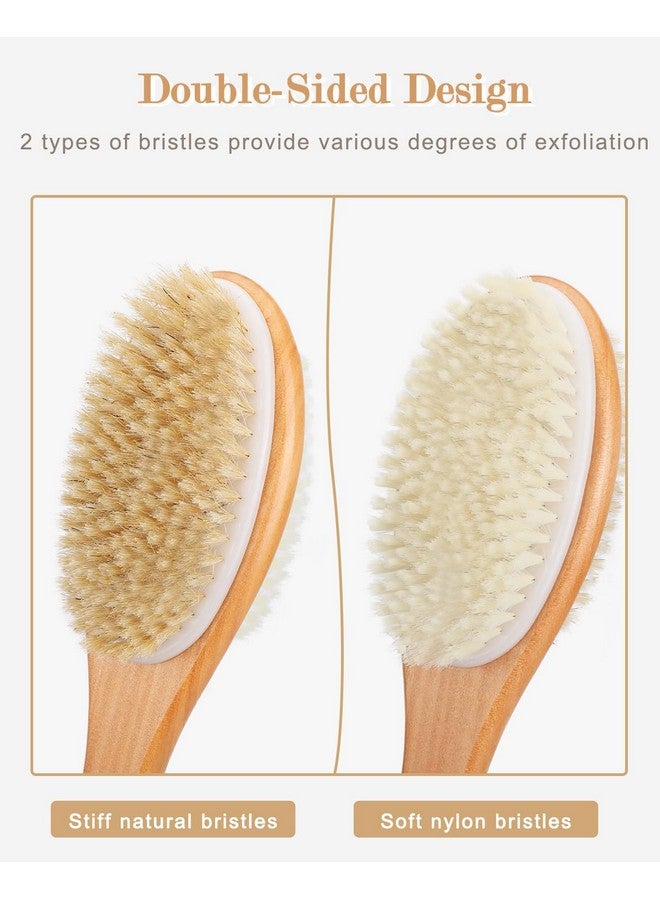 FREATECH Back Scrubber for Shower, Body Brush with Long Wooden Handle for Wet or Dry Brushing, Dual-sided Brush with Stiff Natural Bristles and Soft Nylon Bristles for Exfoliating and Gentle Cleaning - Image 2