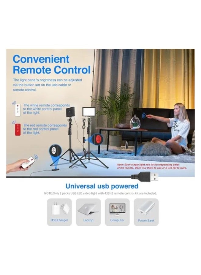 NEEWER ZC-10S 2 Pieces Pro USB Table Top LED Light Kit