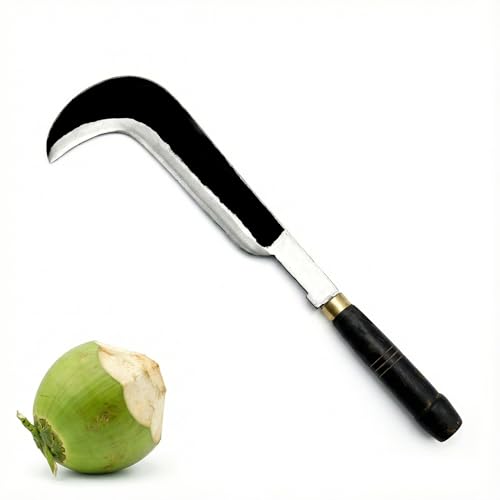 GONATURS Slim Hooked Tender Coconut Cutting Kitchen Knife | Traditional Alloy Steel Knife with Wooden Handle | Ideal for Tender Coconut Cutting & Kitchen Use (7 INCH) - Image 1