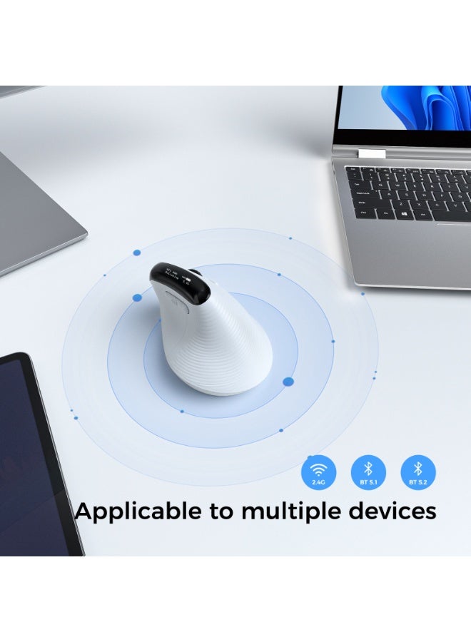 Wireless Bluetooth ergonomic vertical charging dual-mode mouse business office computer 6400DPI photoelectric mouse - Image 5