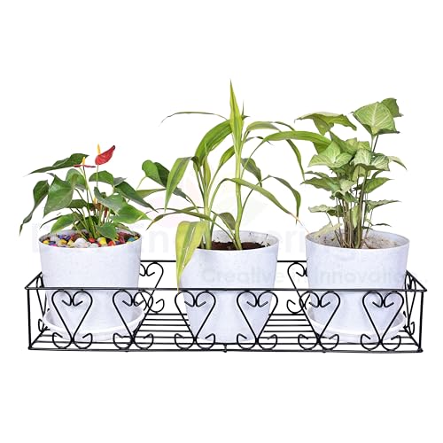 D&V ENGINEERING - Creative in innovation D&V Engineering Heavy-Duty Metal Wall Mount Plant Stand Shelf & Bracket|Indoor & Outdoor Hanging Planter Rack for Balcony, Garden – Black, Large - Image 1
