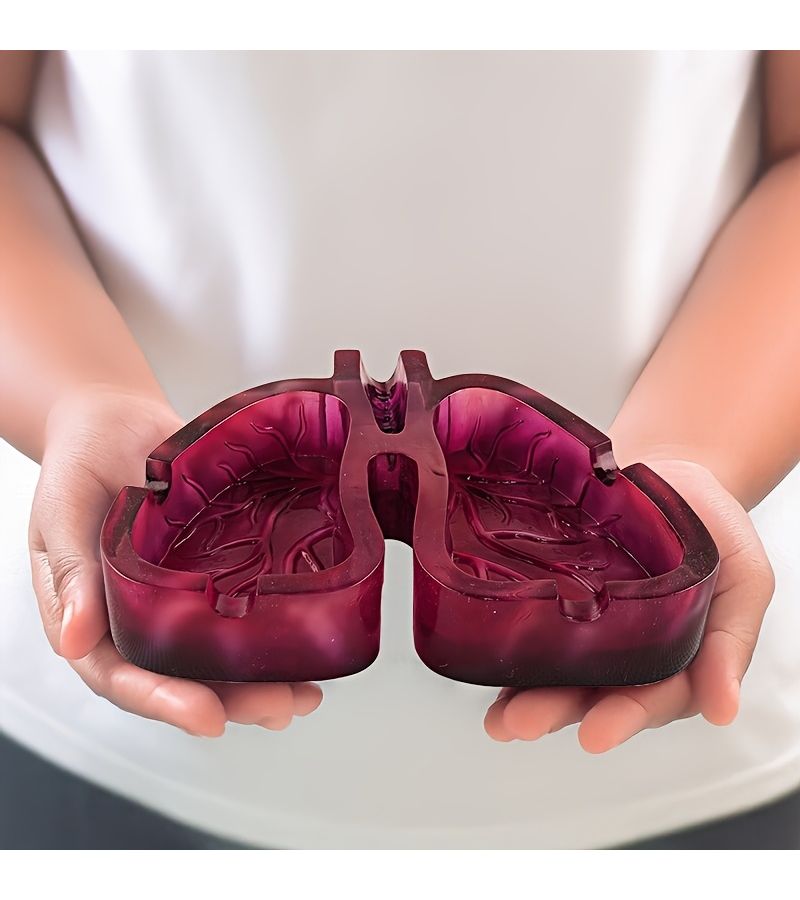 Unique Human Lung Ashtray For Home Office Car Beach Decor - Image 5
