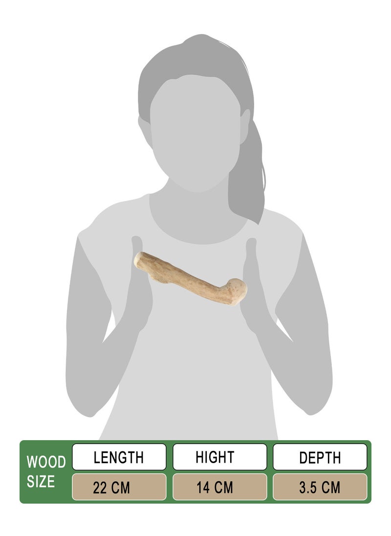 CHEWY BONE medium Dog Chew Wooden Stick Organic Indonesian Java wood for aggressive chewers For teething and Interactive play  - Image 2