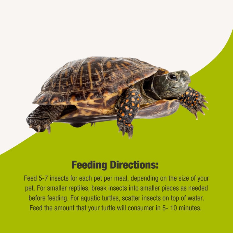 Fluker's Grub Bag Turtle Treats, Insect Blend, High Protein Freeze Dried River Shrimp, Crickets, and Mealworms, For Aquatic Turtles, Amphibians, and Reptiles, 12 oz - Image 4