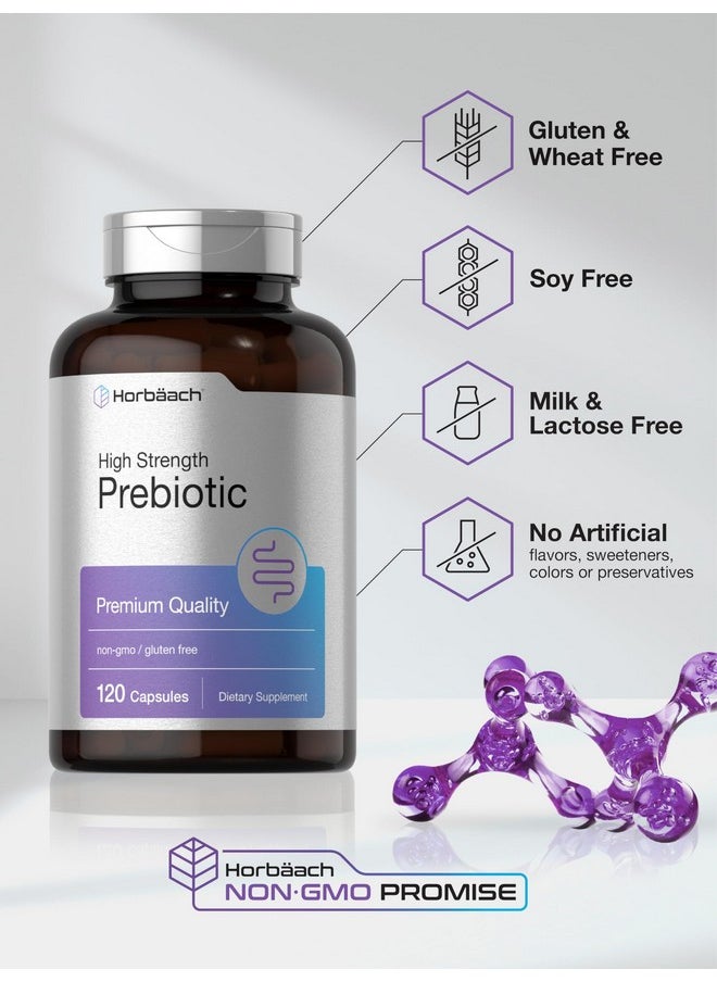 Horbaach Horbäach Prebiotic for Men and Women | 120 Powder Pills | High Strength & Premium Quality Supplement | Non-GMO & Gluten Free Quick Release Capsules  - Image 5