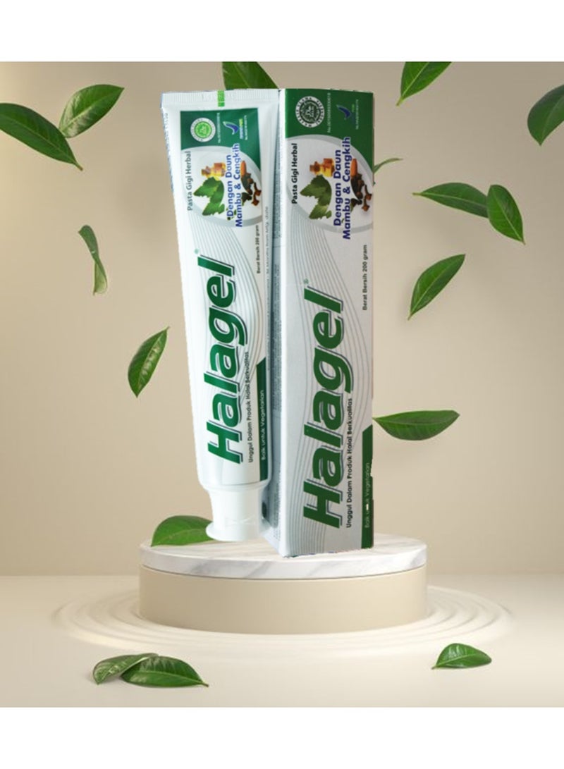 Halagel Herbal Toothpaste Neem with Clove Oil 200g - Image 2
