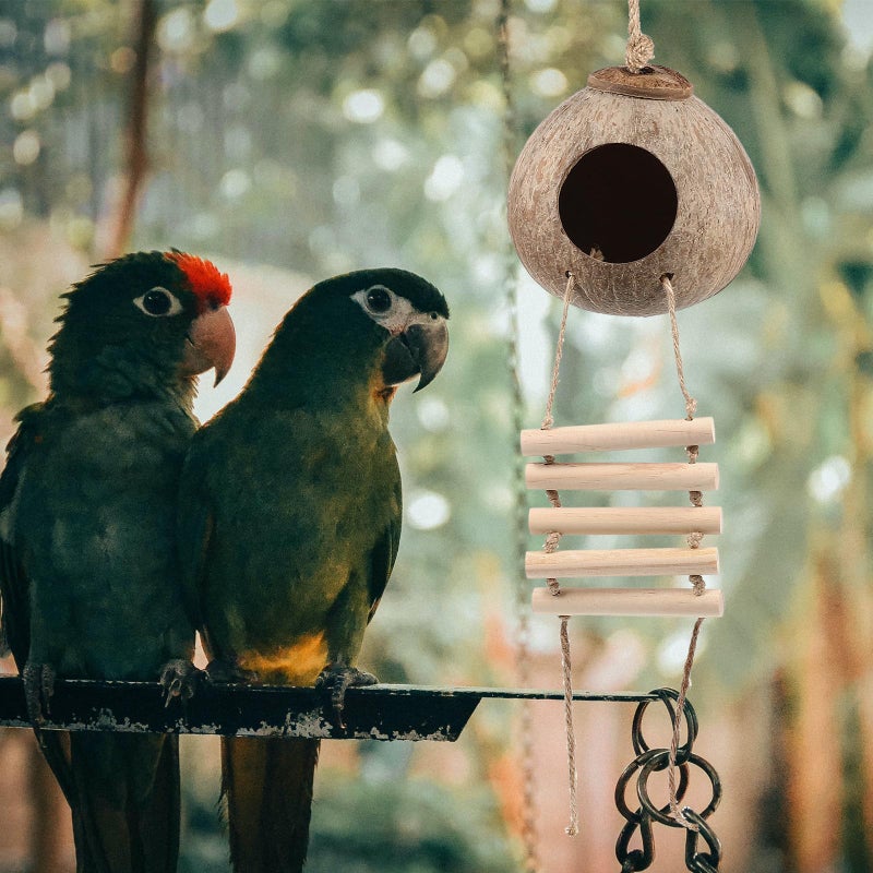 Natural Coconut Shell Bird Nest With Ladder Hanging Resting Bed For Parrots Parakeets - Image 5