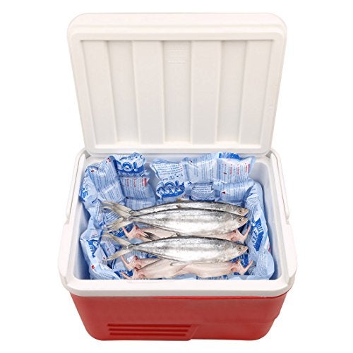 Easy Ice (Pack of 3) sheet (10 x 7) – Reusable Flexible Ice Sheets for Ice Boxes, Coolers & Cold Storage – Hot & Cold Therapy Pack, Leakproof & Long-Lasting Cooling - Image 5