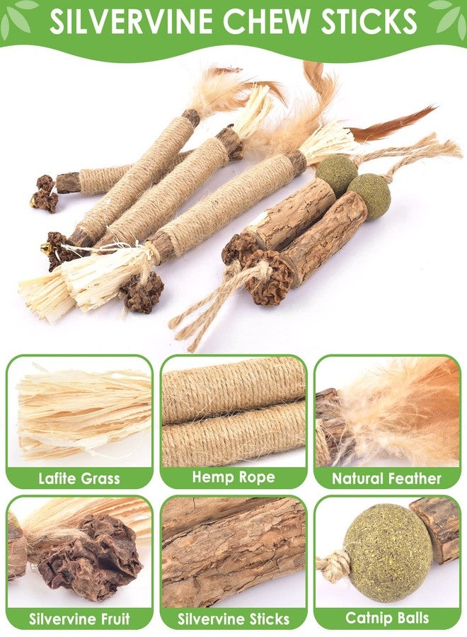 TINDTOP Catnip Chew Toys for Cats, 12 Pack Natural Silvervine Sticks for Kittens Teeth Cleaning, Matatabi Dental Care, Increase Appetite, Calm Cat Anxiety and Stress, Aggressive Chewers Cat Dental Toy - Image 4