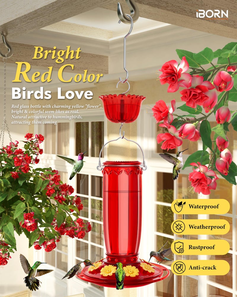 iBorn Hummingbird Feeders for Outdoors Hanging with Ant Moat for Hummingbird Feeder Glass 8 Ports for 16oz Humming Bird Nectar,Yellow Flowers Red Glass, Pack of 1 - Image 3