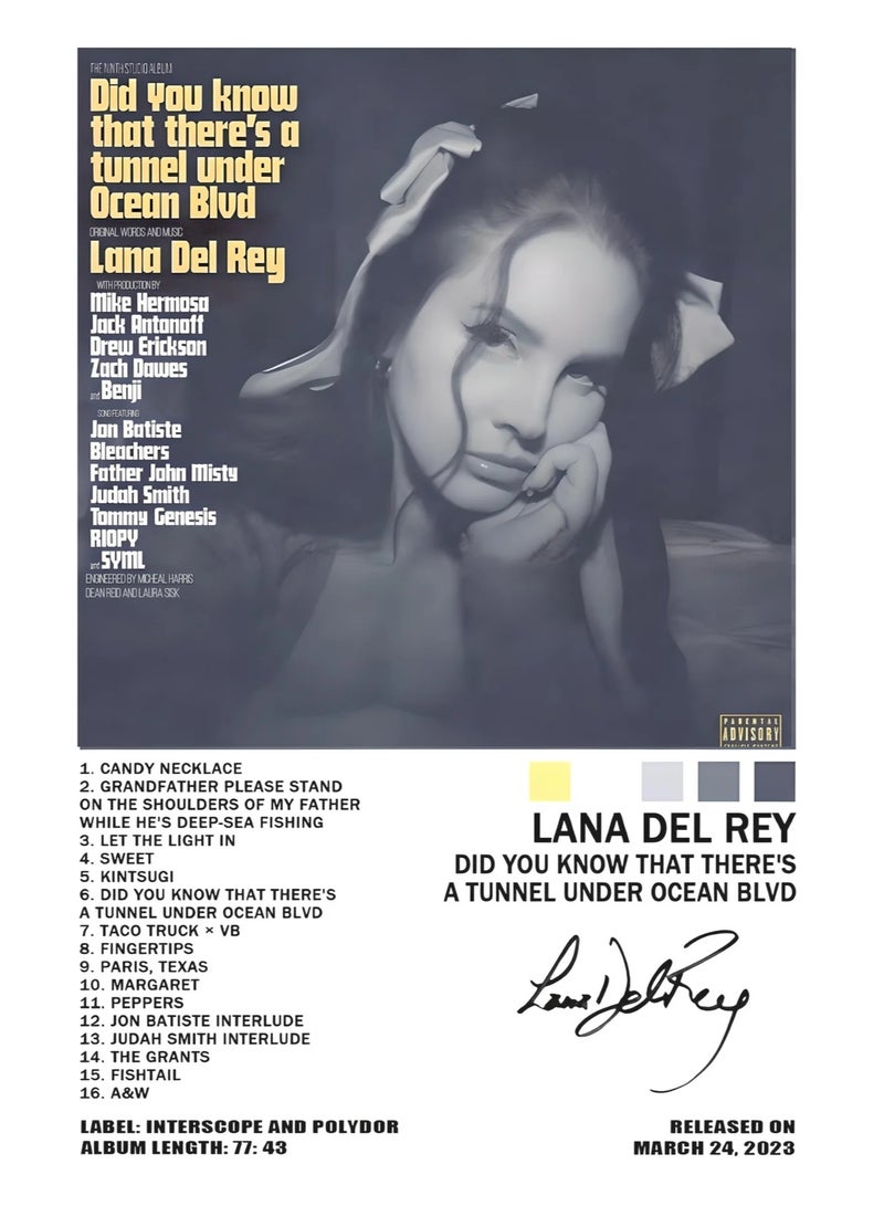 TNESSENTIAL LANA DEL REY OCEAN BLVD CANVAS POSTER  - Image 4