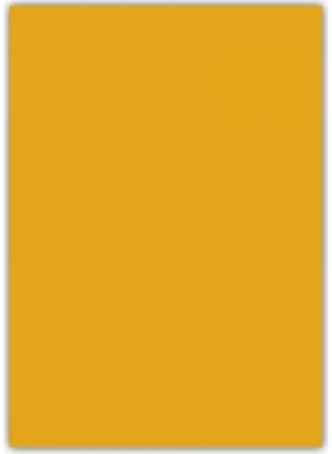 Bafix A-4 Binding Cover Plastic Opaque 160 Micron Orange 106837 100 Pcs (1 Pack of 100 Pieces) 