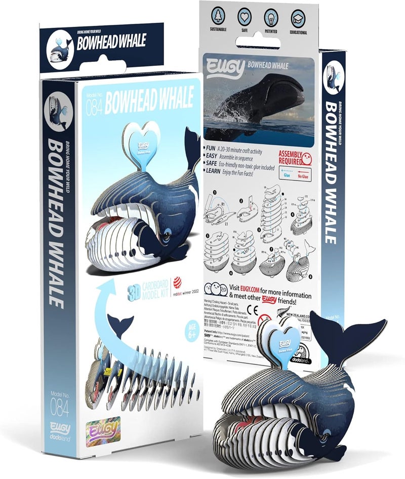 EUGY Durability boosted processed material EUGY 084 Bowhead Whale Eco-Friendly 3D Paper Craft Puzzle Globally trusted affordable quality - Image 4