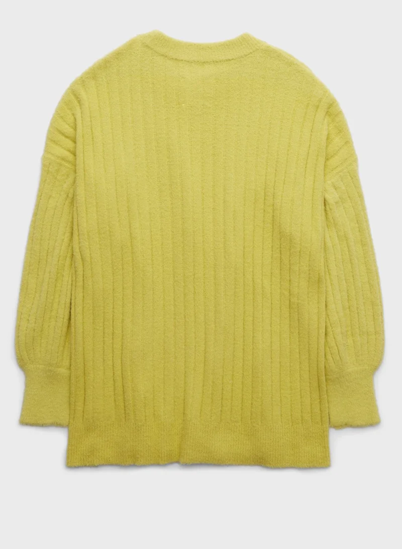 Aerie Crew Neck Knitted Sweater