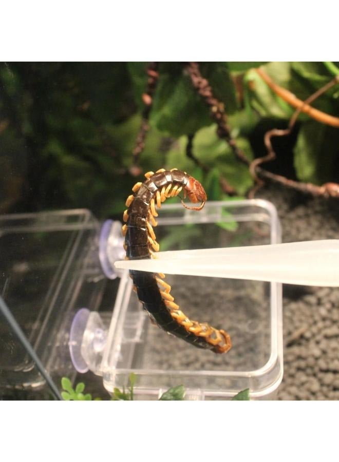 Generic Special Glowing Reptile Tweezer 18cm  - Image 4