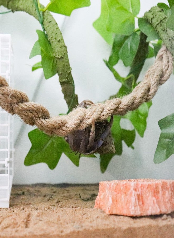 Neeenn Hermit Crab Climbing Toys, Reptile Rope Ladder Supplies, Tank Aquarium Terrarium Vines Accessories, Habitat Decor for Lizards Geckos Snakes Bearded Dragon - Image 4