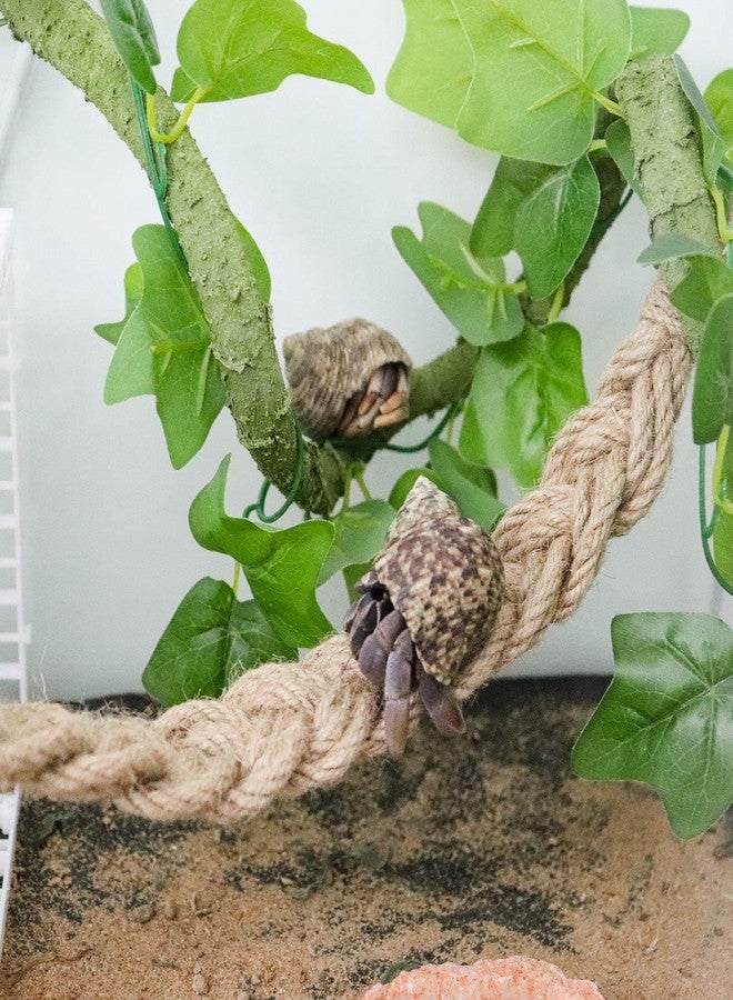 Neeenn Hermit Crab Climbing Toys, Reptile Rope Ladder Supplies, Tank Aquarium Terrarium Vines Accessories, Habitat Decor for Lizards Geckos Snakes Bearded Dragon - Image 3