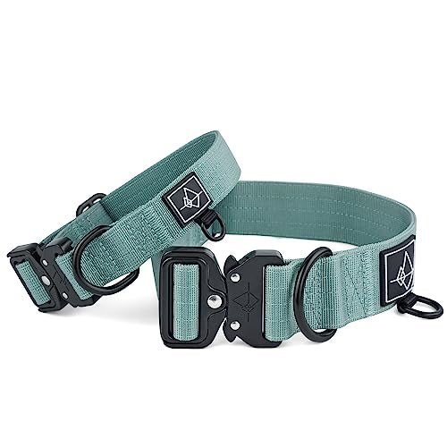 Roam Made to ROAM Premium Dog Collar - Adjustable Heavy Duty Nylon Collar with Quick-Release Metal Buckle (Florida Seaside, Classic Size 3) - Image 2
