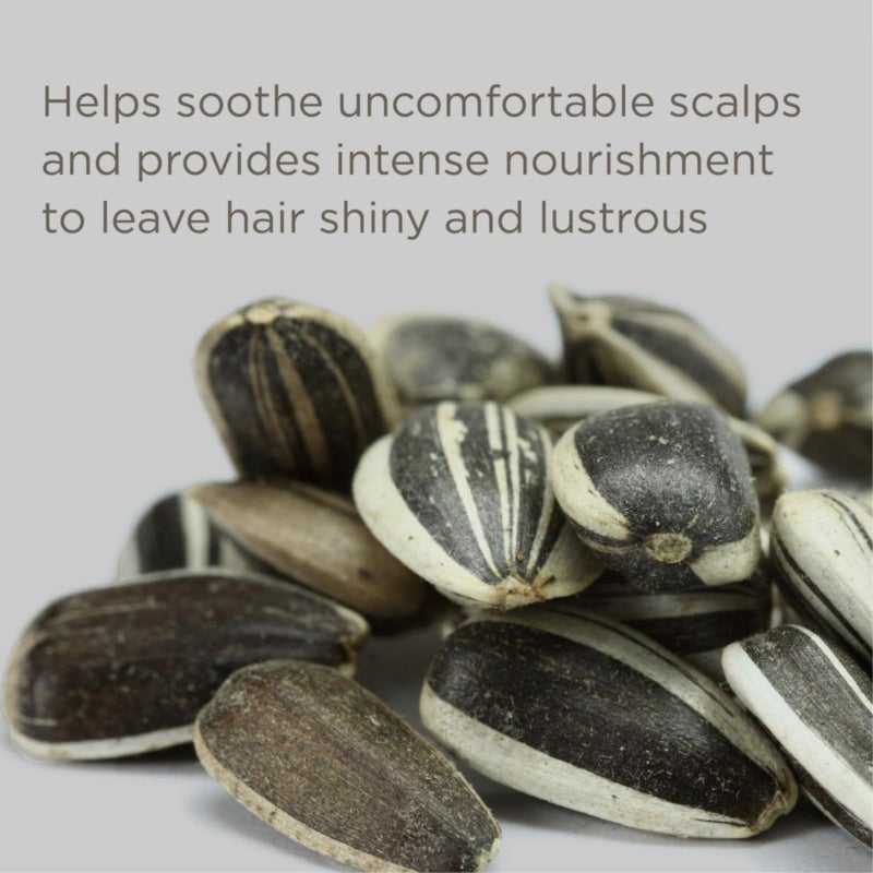 Hairitage Down to the Basics Fragrance-free Conditioner Formulated with Chamomile + Sunflower Seed Oil - Ultra-Mild + Moisture Rich - For Sensitive Scalps - No Artificial Perfumes, 13 oz - Image 2