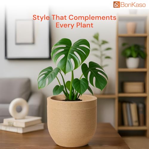 BonKaso 12 Inch Konark Greek Pot for Plants (30x30x27 cm) | Large Beige Roto Planter | Durable Lightweight Polymer Flower Pot for Indoor & Outdoor Use | Home, Garden, Balcony & Office - Image 2